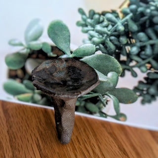 Bee Cup